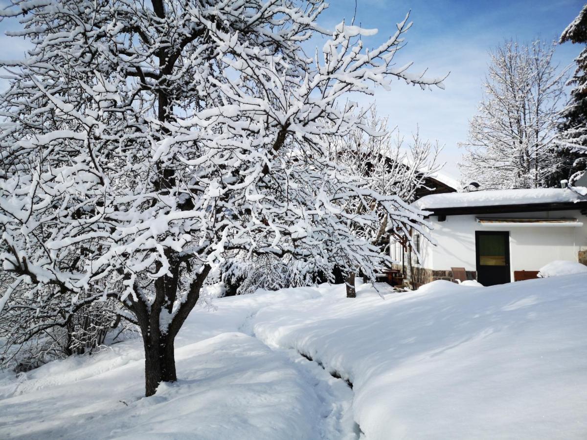 Appartchalet La Rondula Ортизеи Экстерьер фото